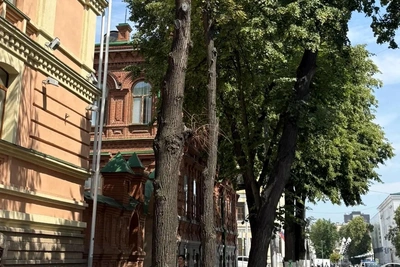 В Уфе вырубят 53 аварийных дерева на Советской