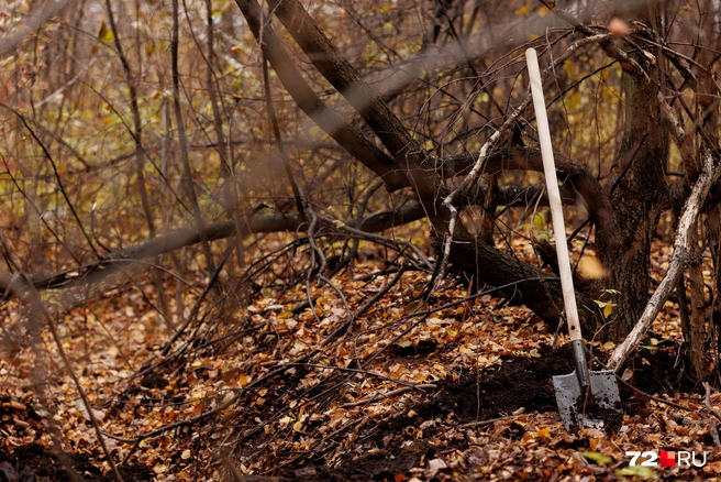 Мужчины в штатском продолжают копать | Источник: Ирина Шарова / 72.RU