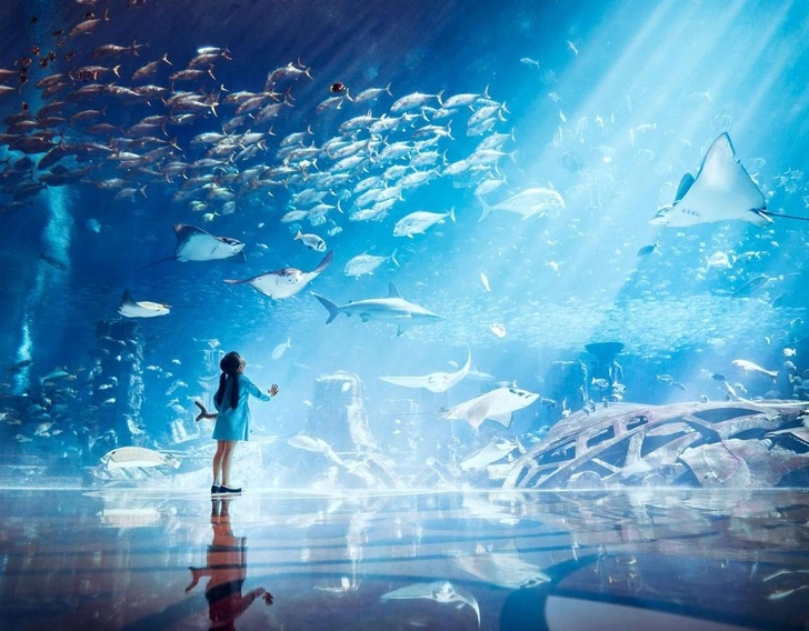 Куда сходить с детьми в Дубае🐬 | Источник: Hywell Waters