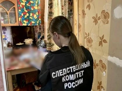 Жителя Сокола будут судить за убийство брата сожительницы | 35.ру