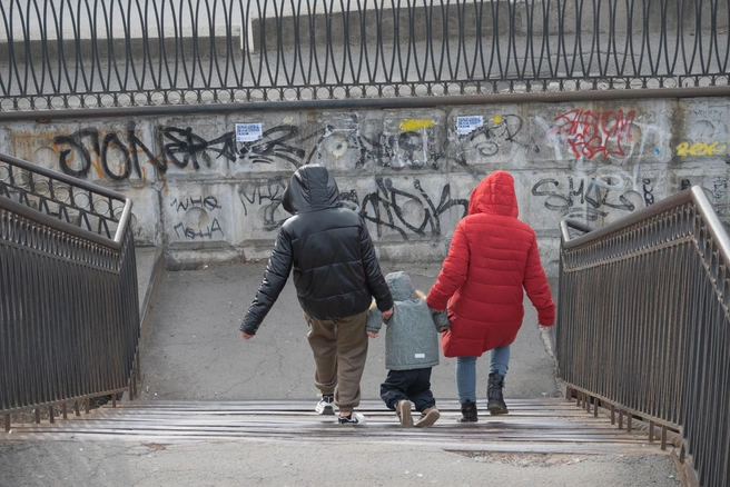 Другие инциденты, связанные с подобными случаями, не подтвердились | Источник: Елена Буйвол / VLADIVOSTOK1.RU