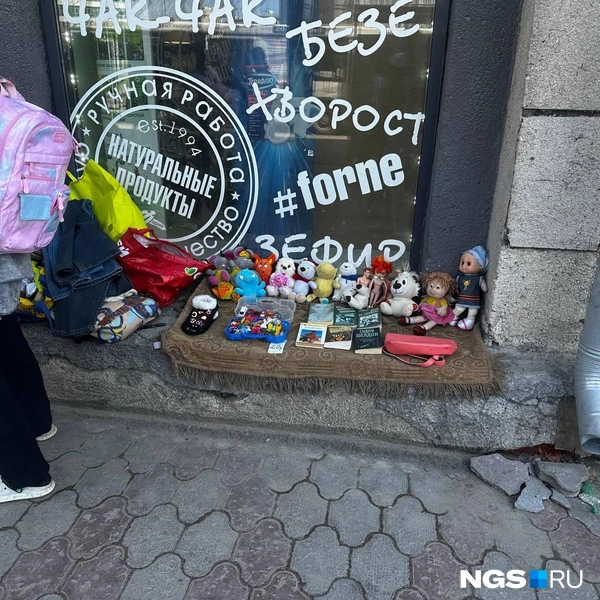 Источник: Павел Пешков / NGS.RU