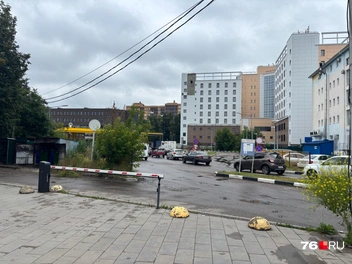 Очередь растянулась на несколько метров | Источник: Алина Сардекова / 76.RU