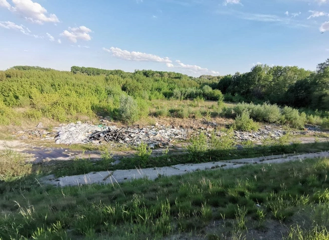 На Заповедном лугу возле Рязанского кремля выросла свалка строительного мусора | ya62.ru