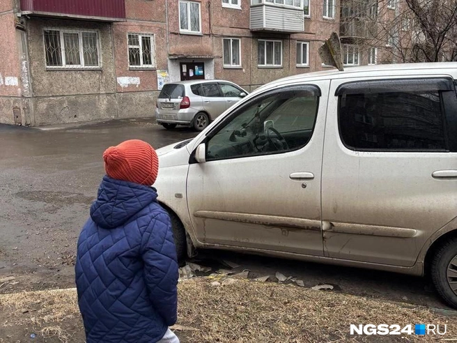 Повезло, что не чья-то голова | Источник: читатель NGS24.RU