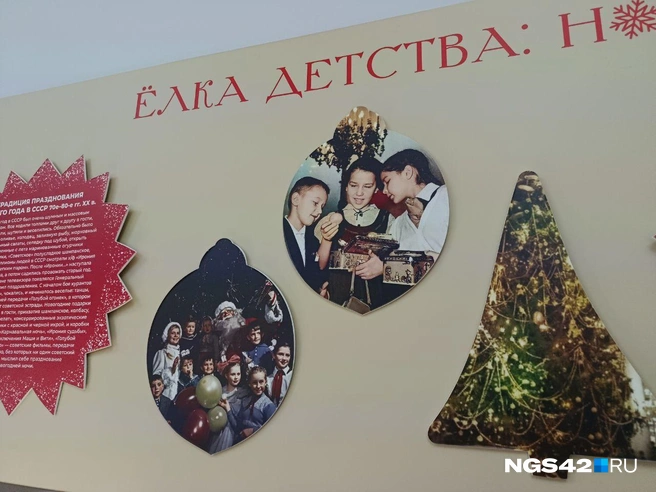 Источник: Александр Левчук / NGS42.RU