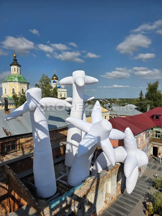 Огромные цветы на фоне старинных храмов — это зрелище невероятное | Источник: Ирина Булгакова/Voronezh1.ru