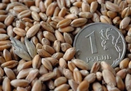 Предприятия АПК в Рязани профинансированы на 70% | ya62.ru