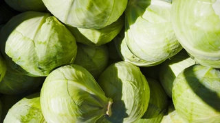 Чем подкормить капусту в августе: секреты крупных и сочных кочанов