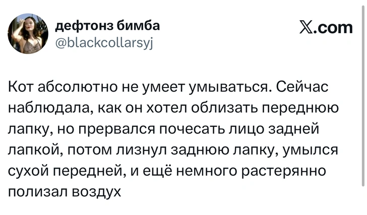 Источник: X (Twitter)