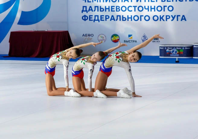 Источник: «Аэрофлекс»
