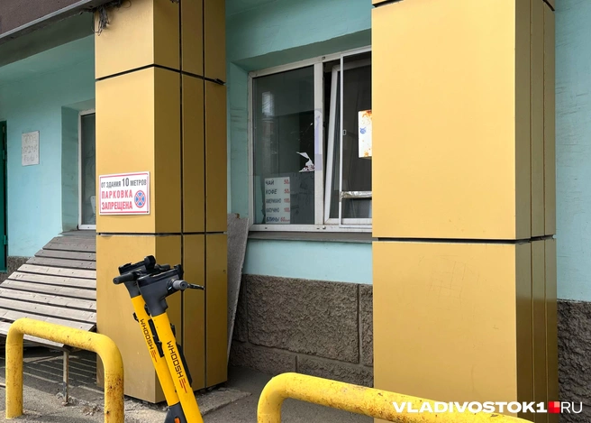 Источник: Елена Буйвол / VLADIVOSTOK1.RU