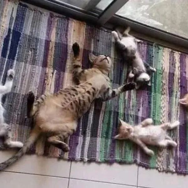 Источник: соцсети