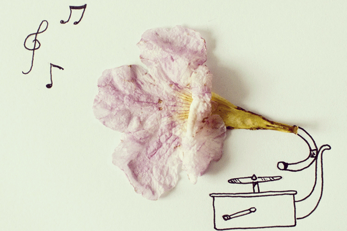 Граммофон из цветка