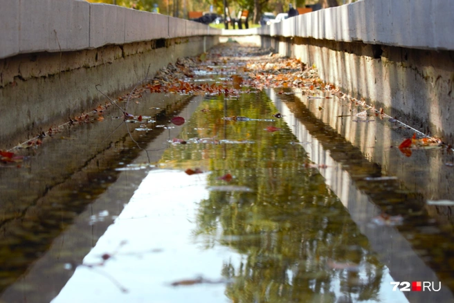 В воде&nbsp;— немного мусора и опавшие листья | Источник: Павел Красоткин / 72.RU 