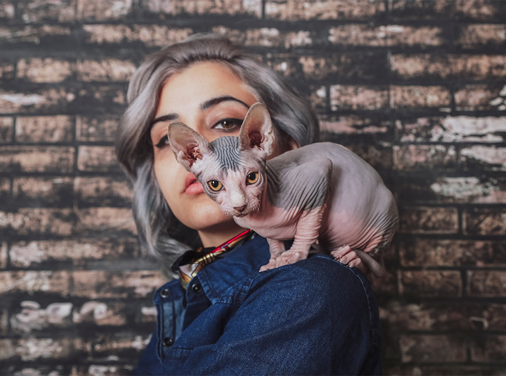 Foto #5 - 7 fakta tentang wanita dan kucing