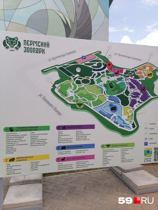 План показался пермячке непонятным | Источник: читатель 59.RU