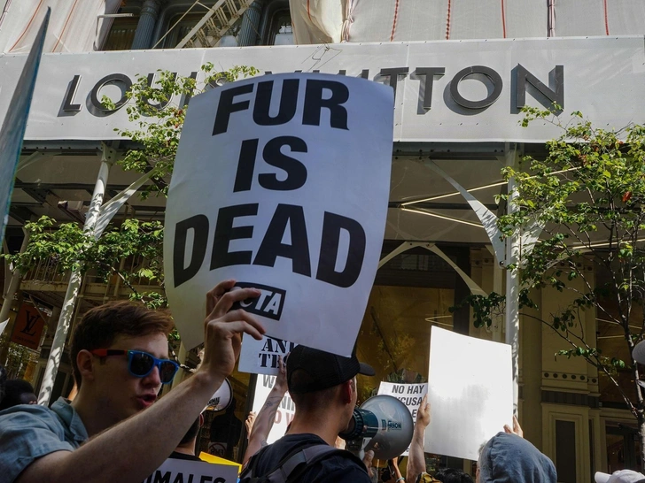 Протест против меха в моде у бутика Louis Vuitton 