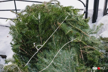 Источник: Тимофей Калмаков / 59.RU