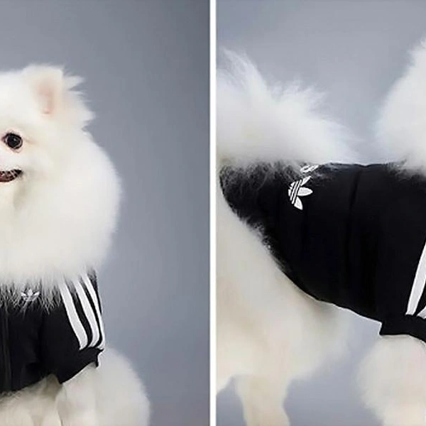 Источник: Adidas China / соцсети