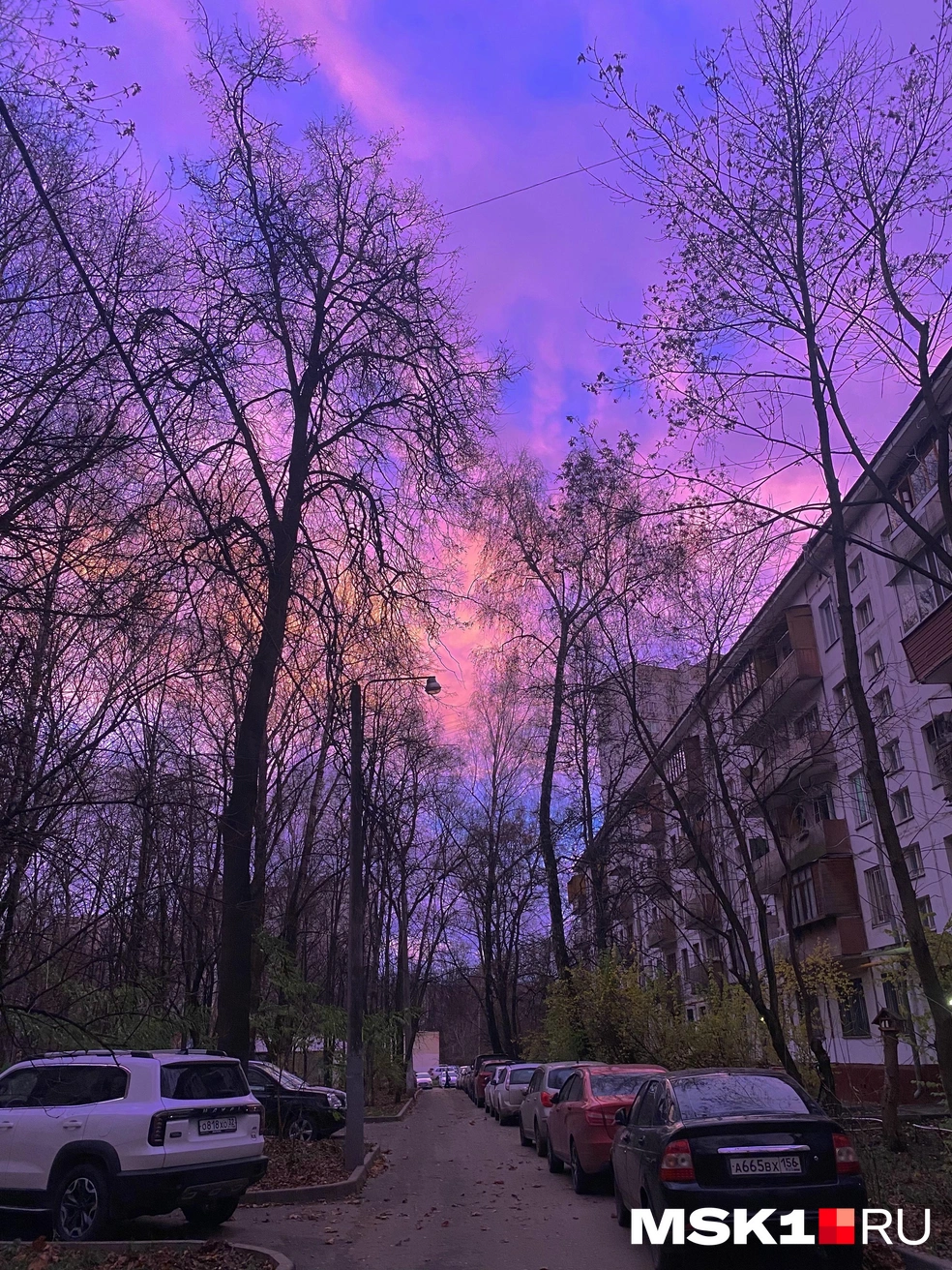 Утренний рассвет в столице | Источник: Читатель MSK1.RU