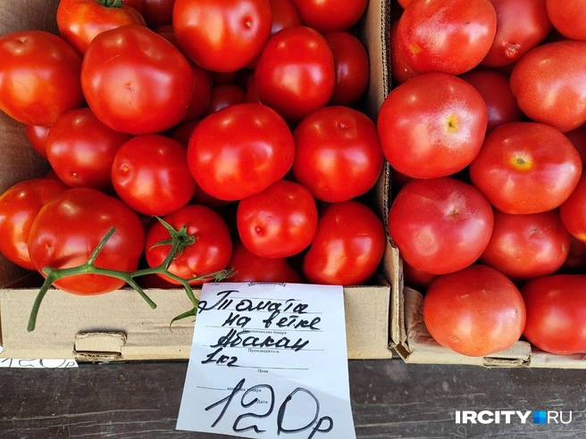 Томаты продают от 100 до 150 рублей за кило | Источник: Алина Ринчино / «ИрСити»