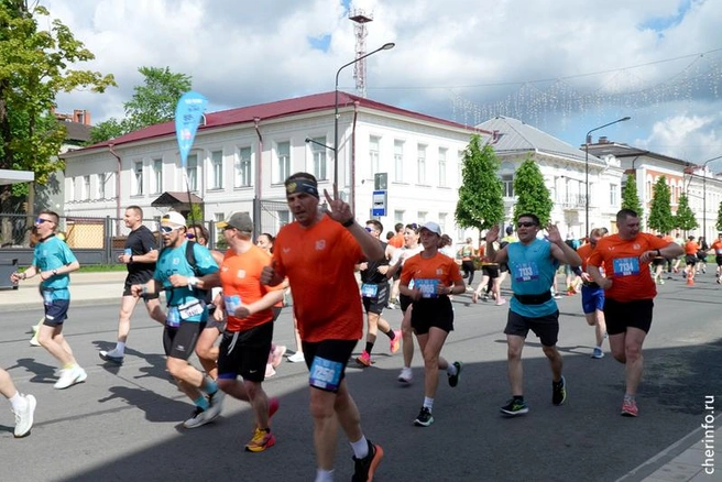Источник: st.cherinfo.ru