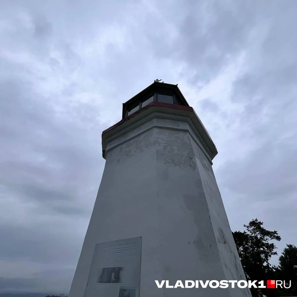 Источник: Алиса Князева / VLADIVOSTOK1.RU