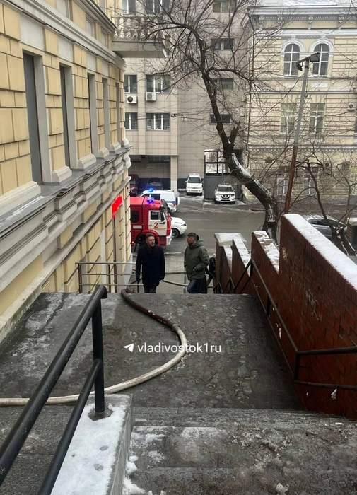 Источник: Елена Буйвол / VLADIVOSTOK1.RU