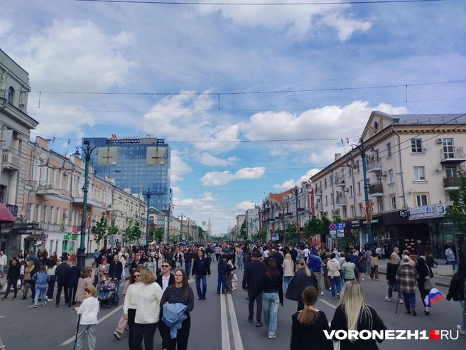 Источник: Дмитрий Волгин / Voronezh1.ru