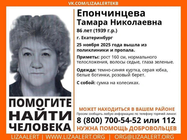 Источник: поисковый отряд «ЛизаАлерт»