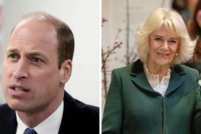Принц Уильям «превысил полномочия» в ультиматуме Камилле