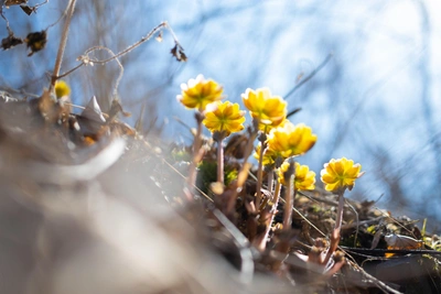 В Алтайском крае ожидается ветер и до +19