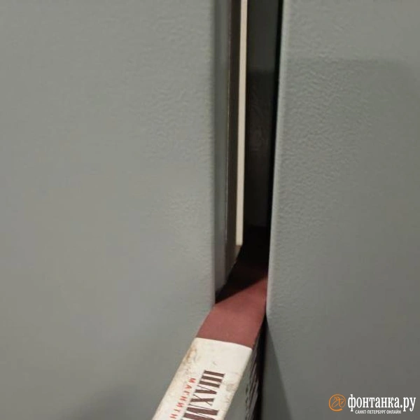 Источник: читатель «Фонтанки» Сергей