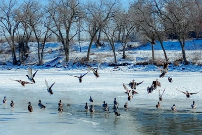 Зимние краски февраля в южном Волгограде