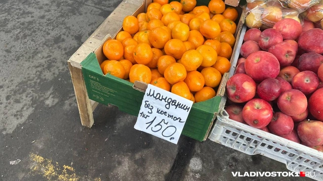 Источник: Елена Буйвол / VLADIVOSTOK1.RU