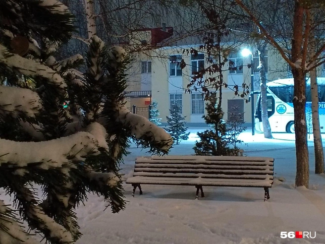 Источник: Анастасия Баринова / 56.RU