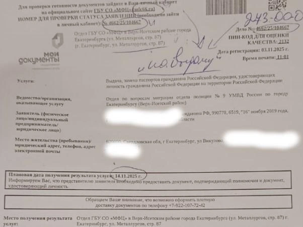 Выдача нового документа была запланирована на 14 ноября | Источник: Наталья, читательница E1.RU