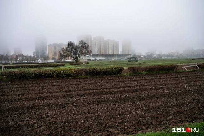 Источник: Евгений Вдовин / 161.RU