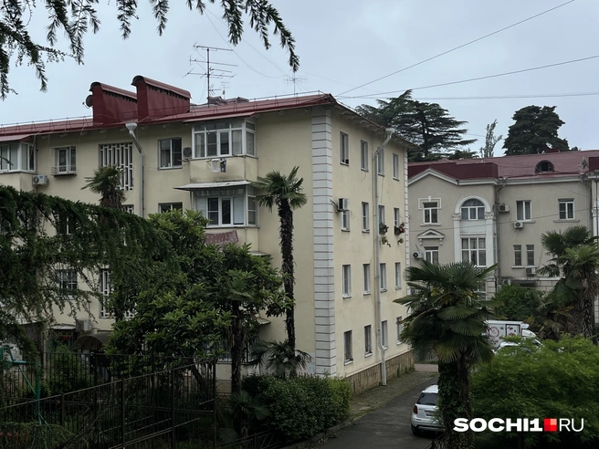 Погода в Сочи сейчас теплая, поэтому отопление не очень нужно | Источник: Анна Грицевич / SOCHI1.RU