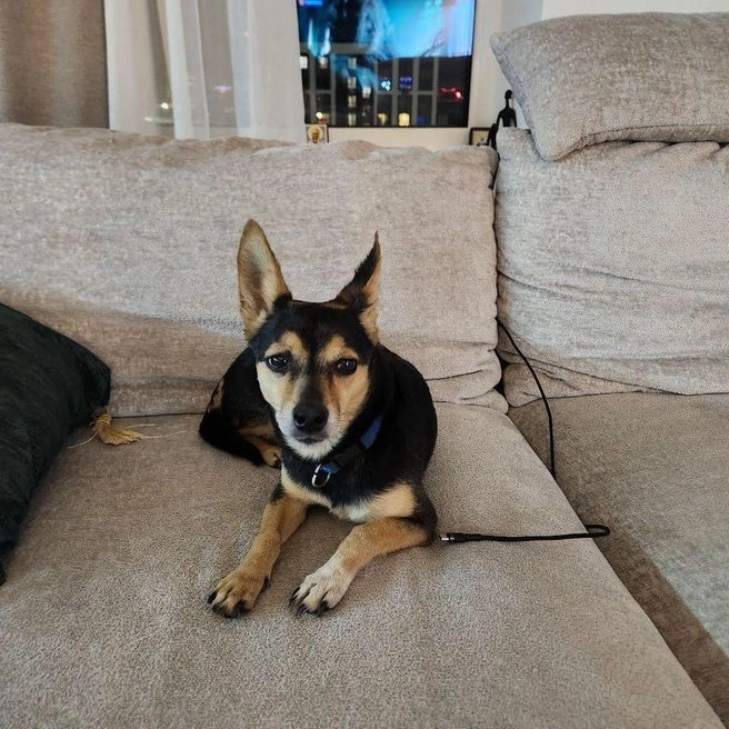 В глазах Геры на этом снимке столько боли и страха | Источник: Читатель 72.RU