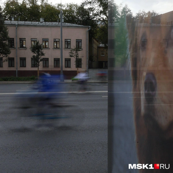 Источник: Артем Устюжанин / MSK1.RU