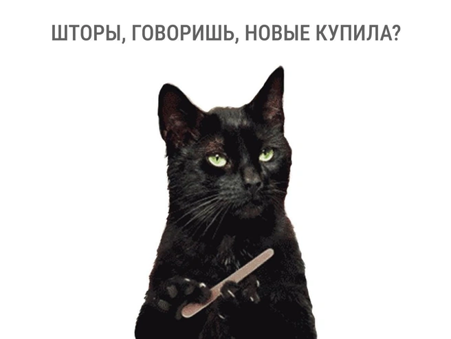 Когтеточка в квартире стоит просто для красоты | Источник: Мария Романова / Городские медиа