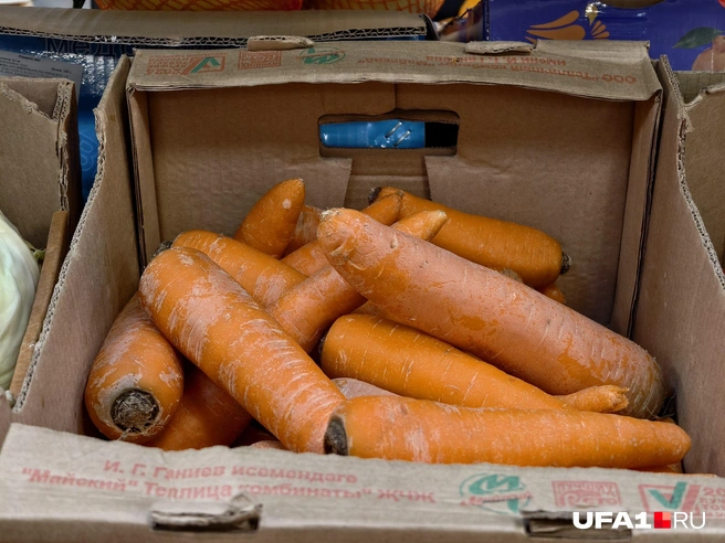 Удивительная разница в цене | Источник: Булат Салихов / UFA1.RU
