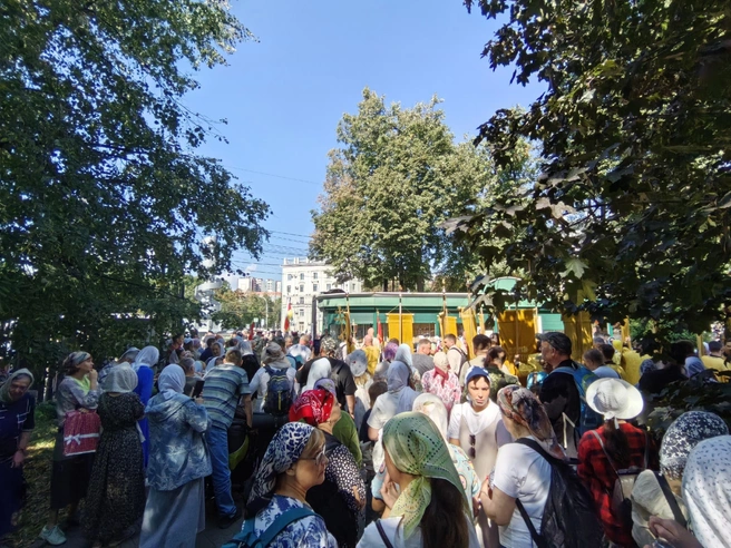 Источник: Андрей Пашинский / Voronezh1.ru