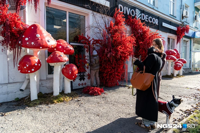 И даже мох им подстелили | Источник: Мария Ленц / NGS24.RU