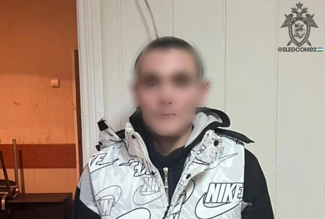 Если Ильшата признают виновным, свободу он увидит нескоро | Источник: СК России по Башкириии