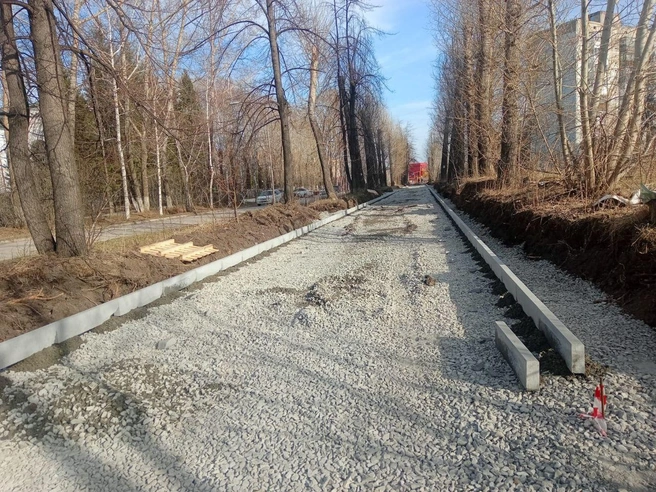 Запланировано облагородить 113 объектов | Источник: www.nso.ru