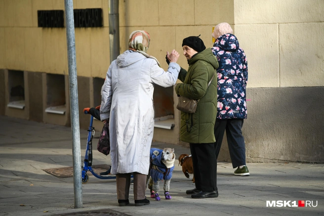 Иногда дату выплаты переносят из-за праздников и выходных | Источник: Артём Устюжанин / MSK1.RU