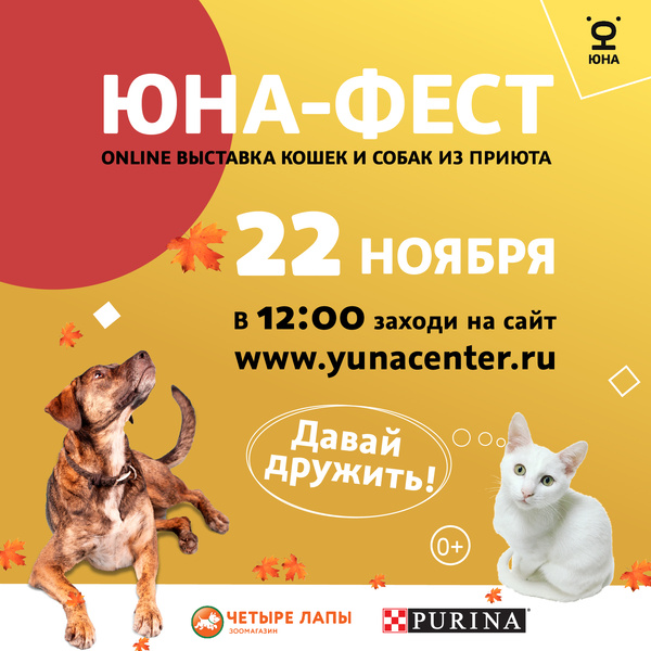 22 ноября состоится онлайн-выставка животных из приютов «Юна-фест»